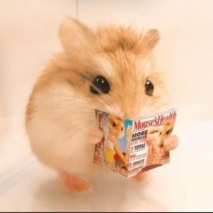 Meet your Posher, Nathan